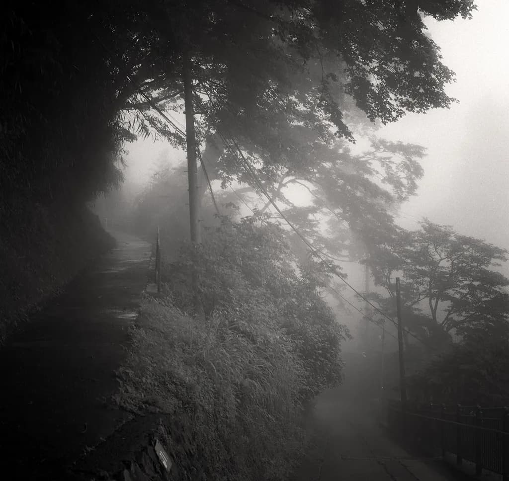 Misty Pathway