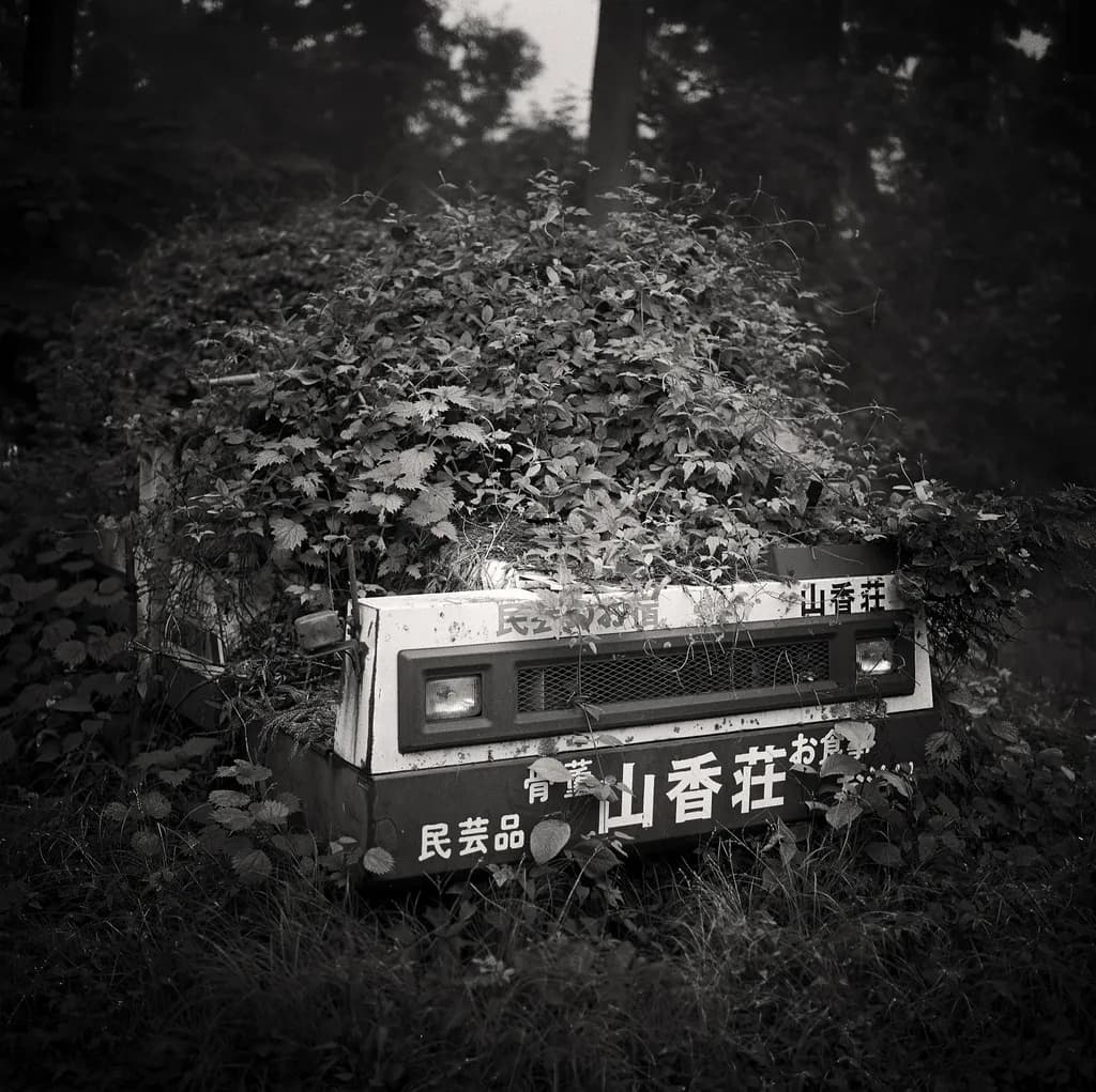 Forgotten Journey