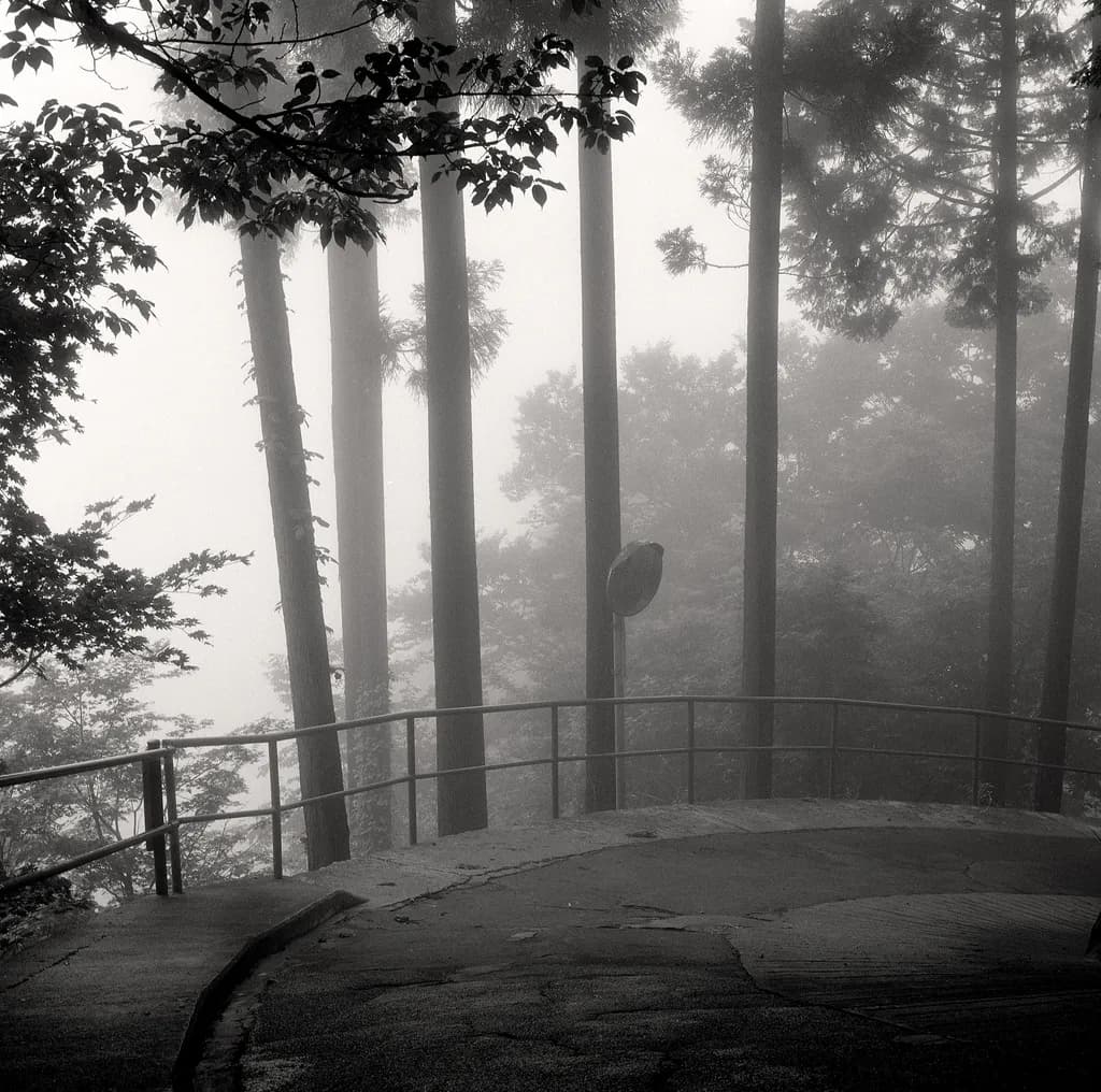 Misty Pathway
