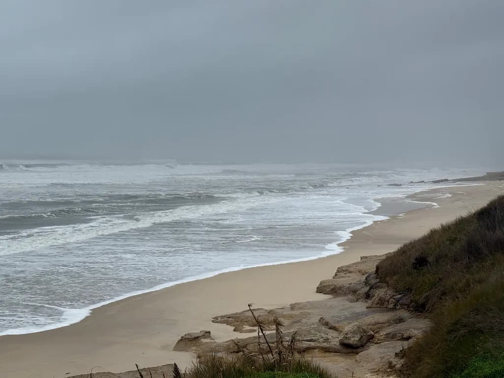 Stormy Shoreline