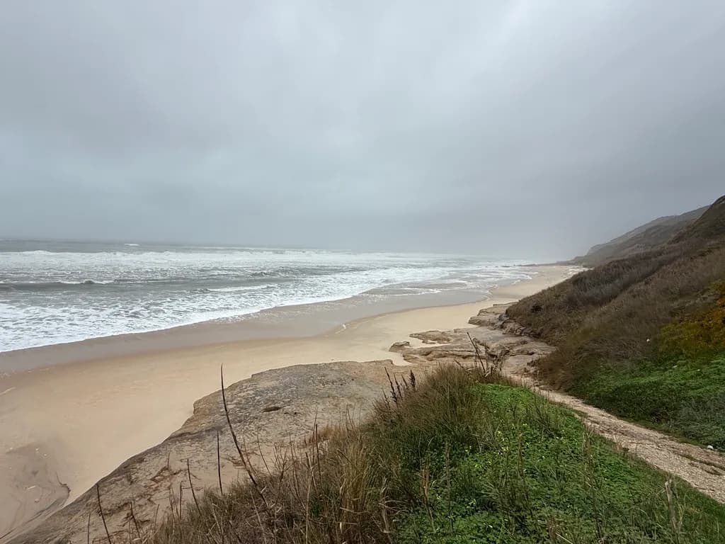 Stormy Coastline