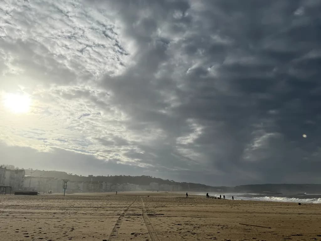 Coastal Serenity