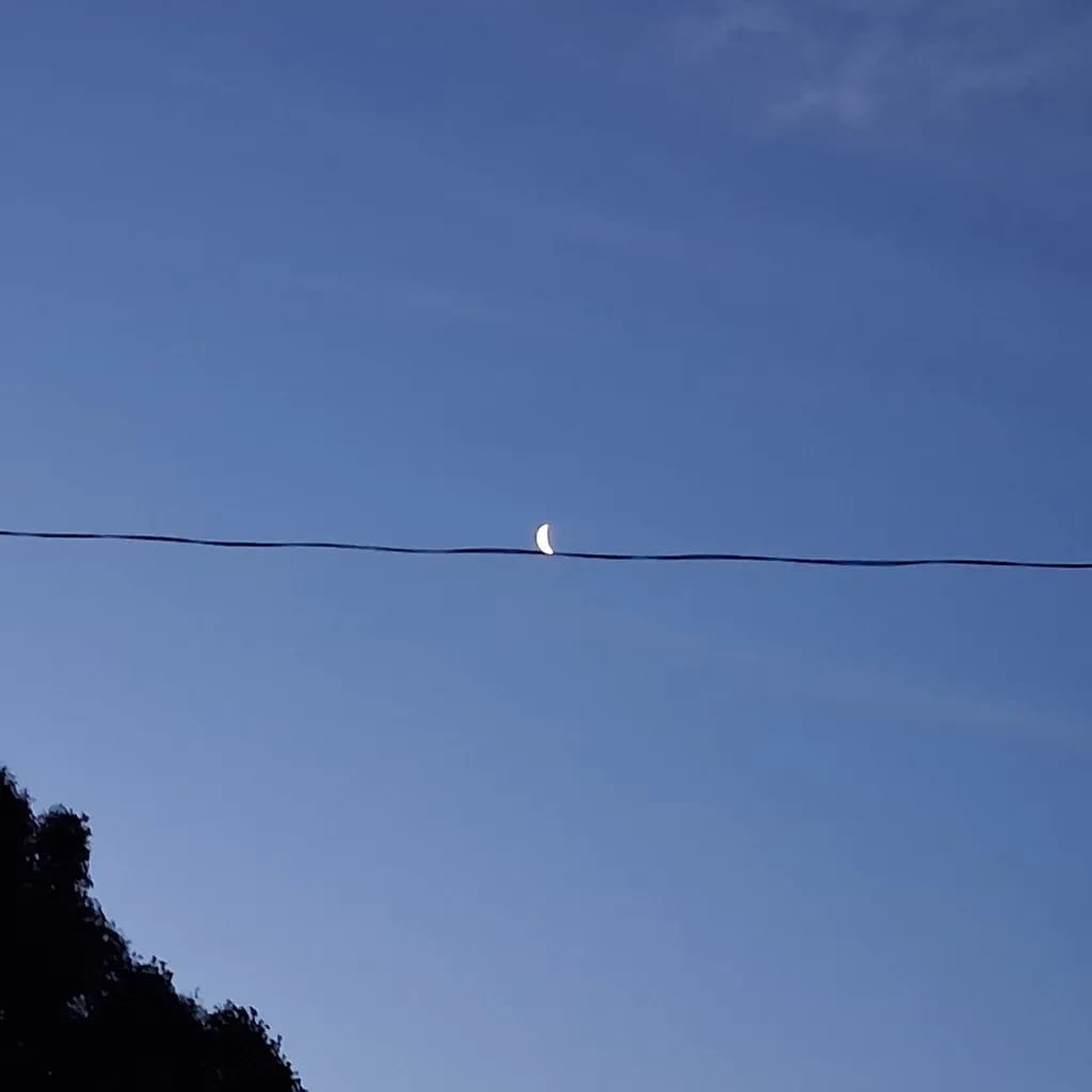 Moon on a Wire