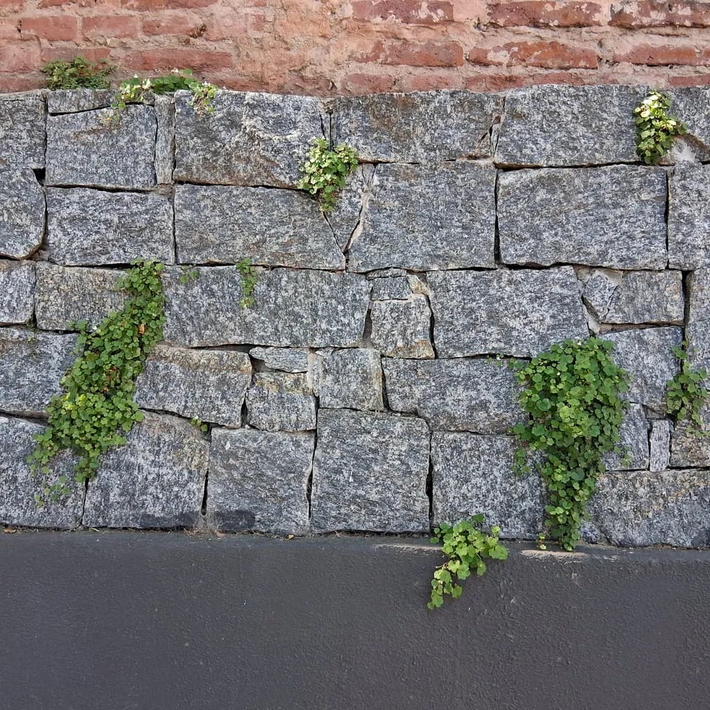 Granite Resilience