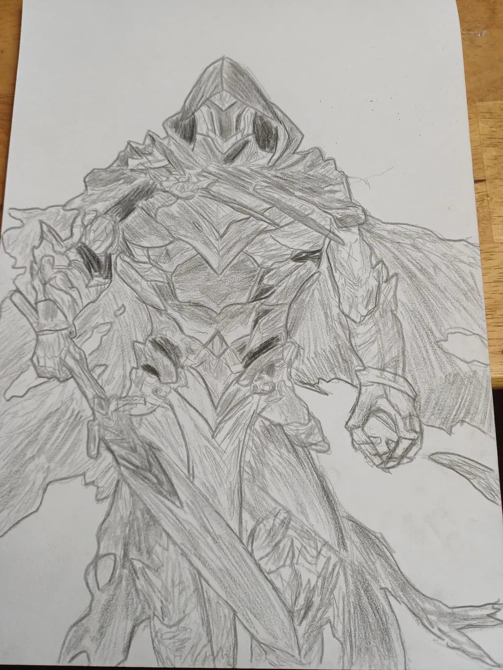 Shadowed Warrior