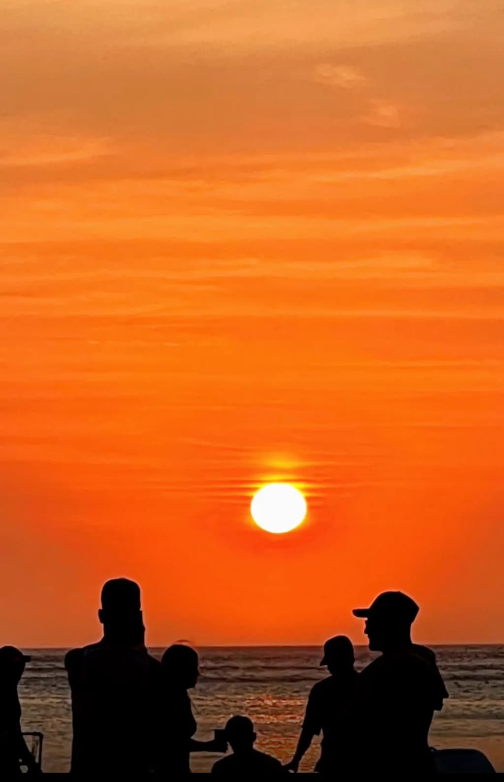 Sunset Silhouettes