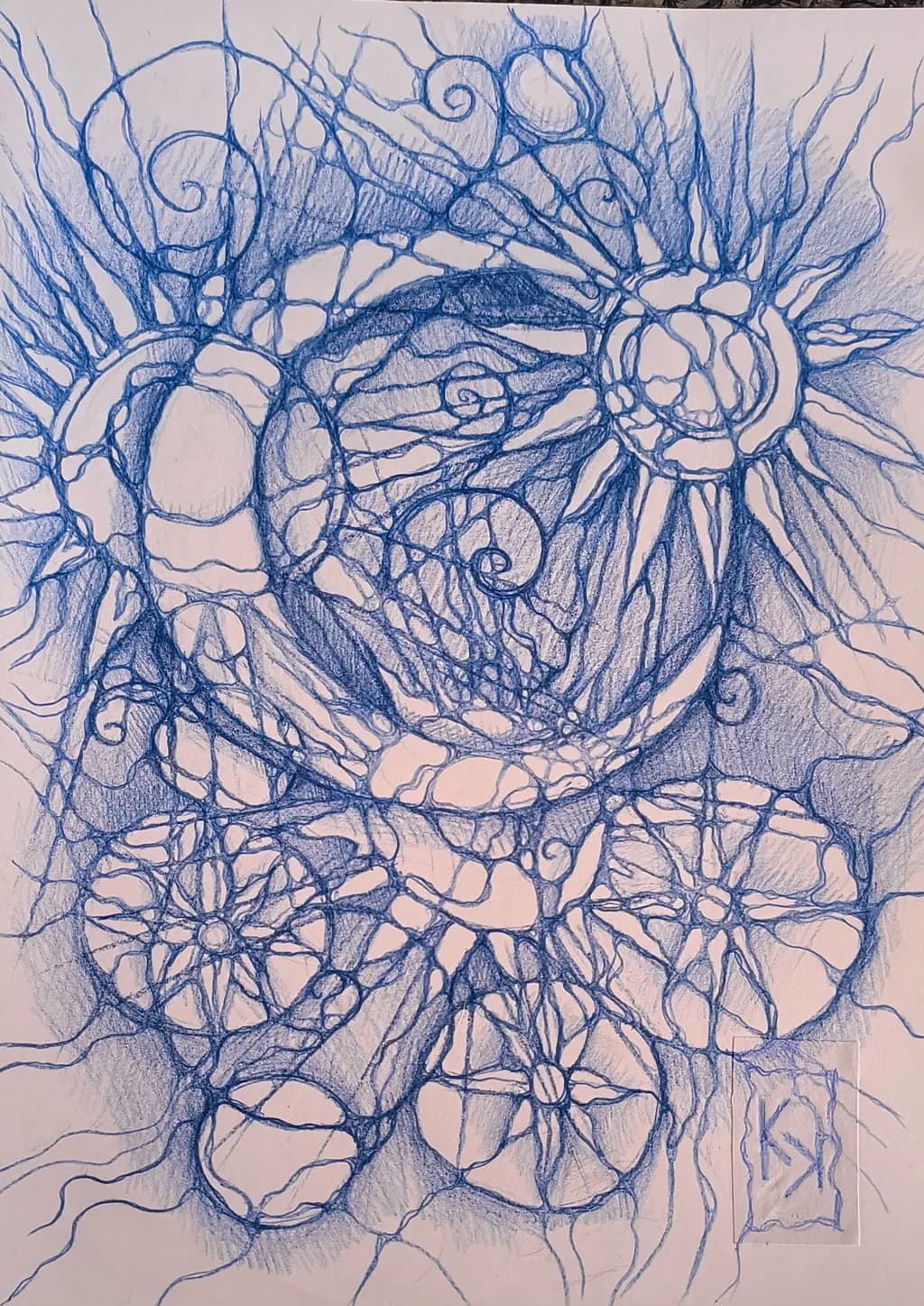 Spiral Network