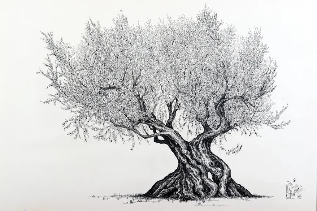 Twisted Olive