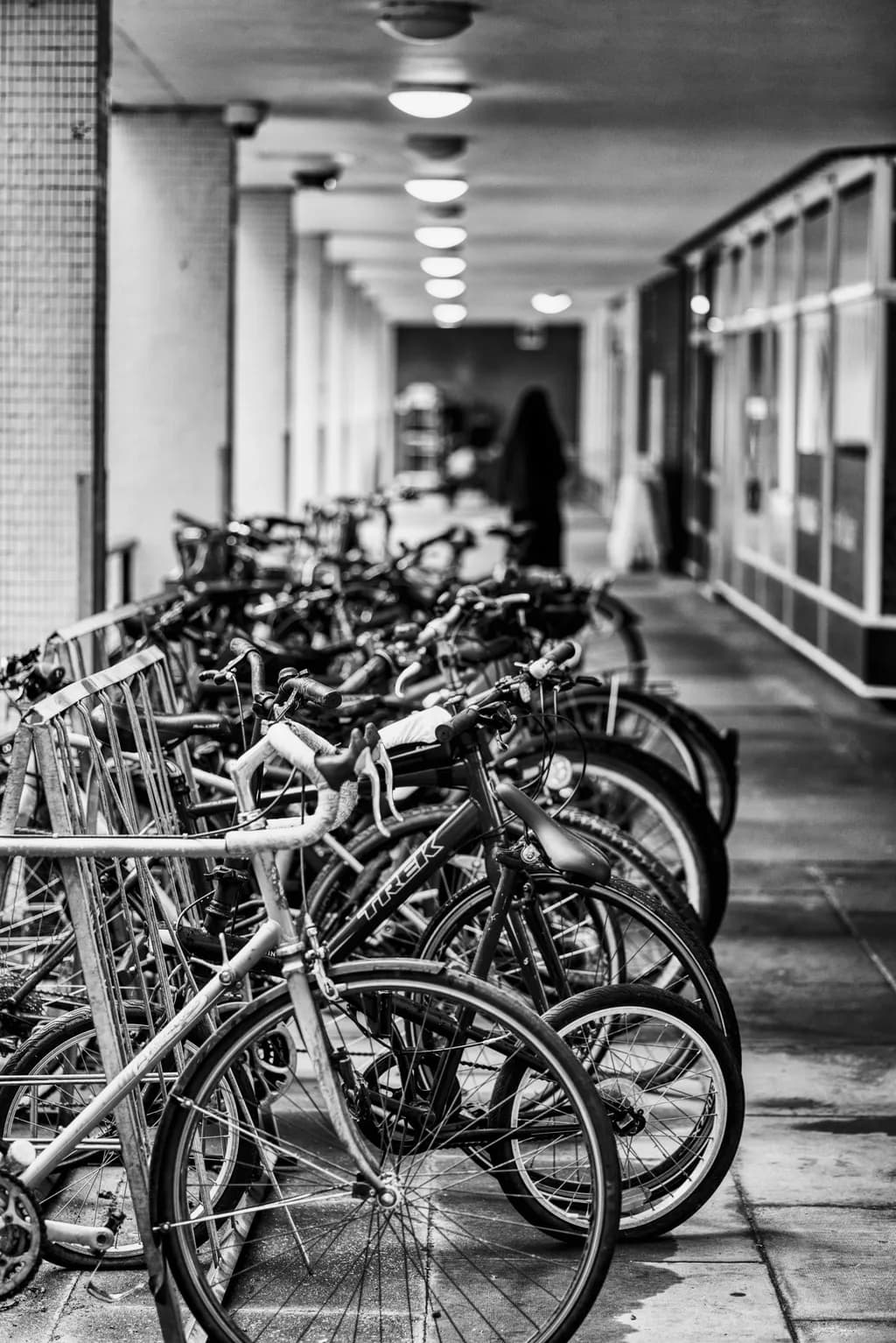 Bicycle Row