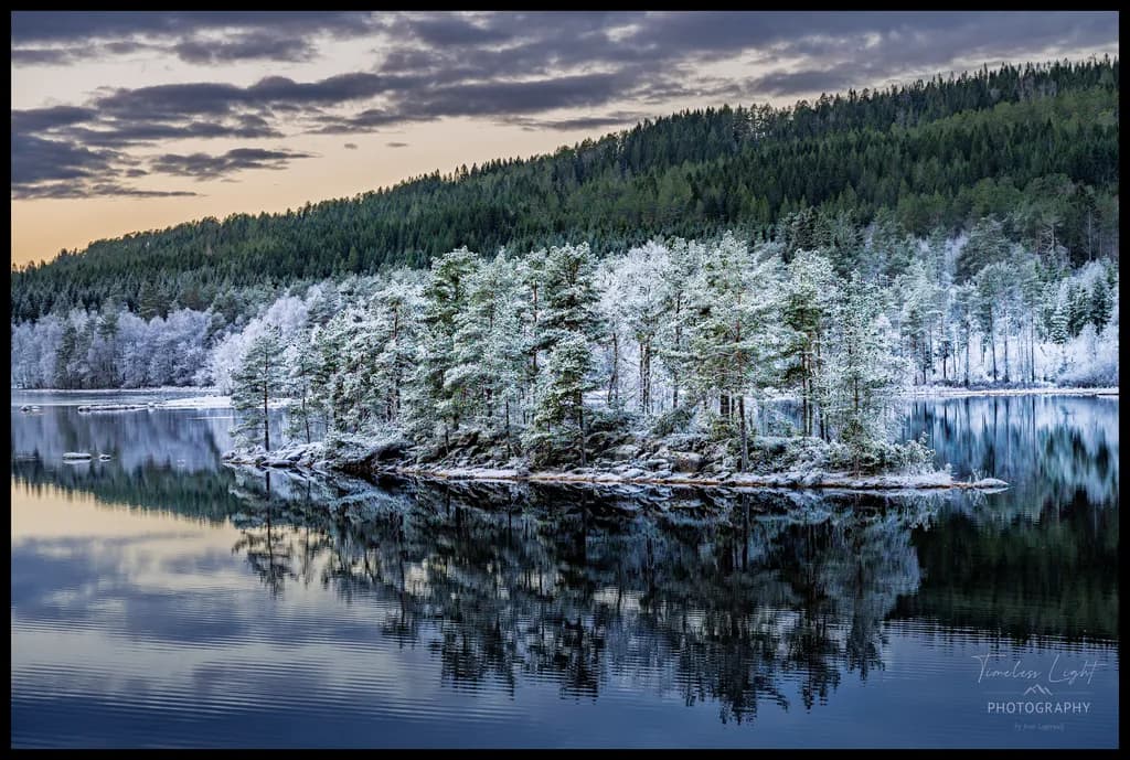 Winter Reflection