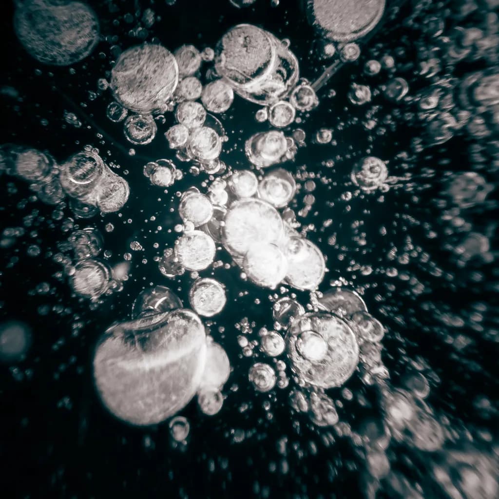 Liquid Orbit