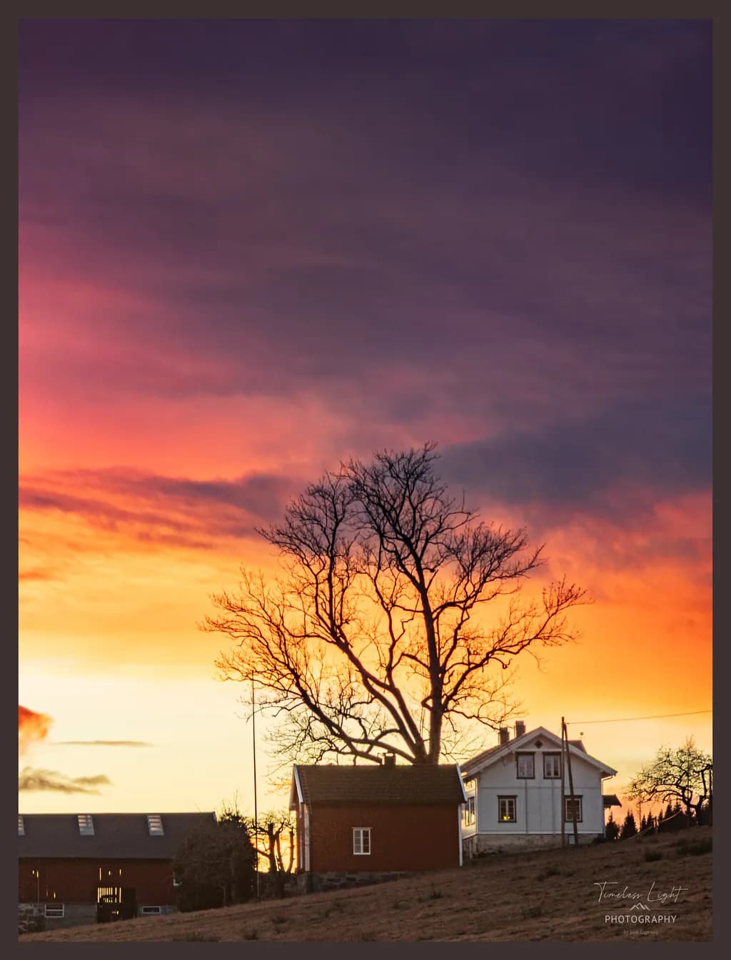 Campfire Skies