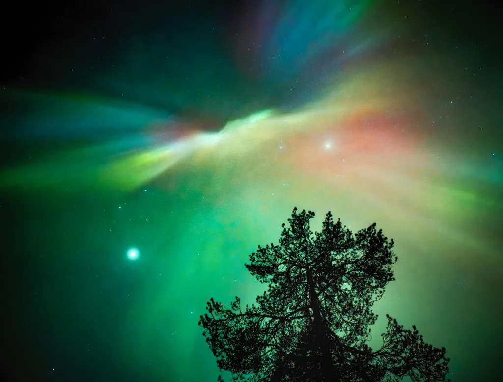 Aurora Groove