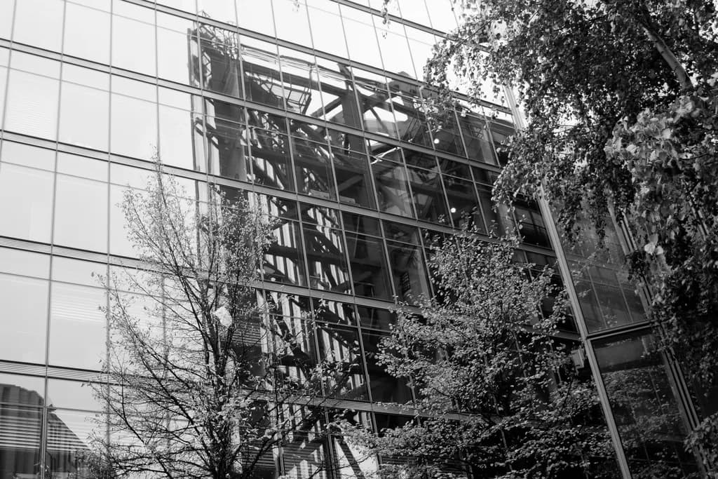 Urban Reflections