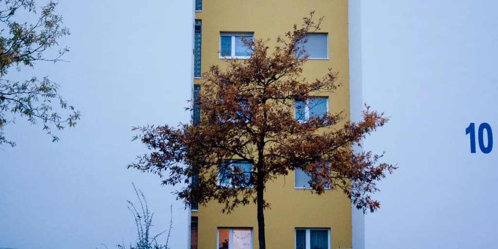 Autumn Harmony