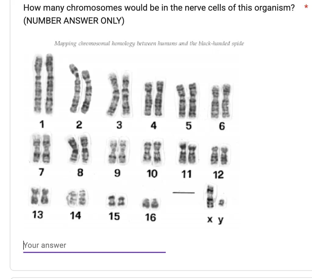 Chromosomal Homology Mapping