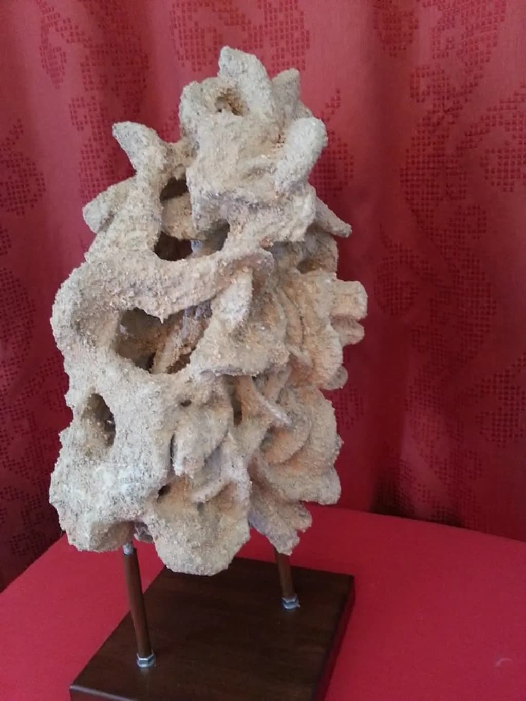 Coral Sculpture