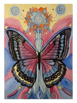 Butterfly Pink Blue Yellow