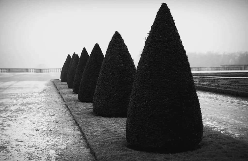 Conical Shadows