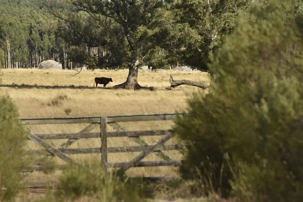 Pastoral Gatekeeper