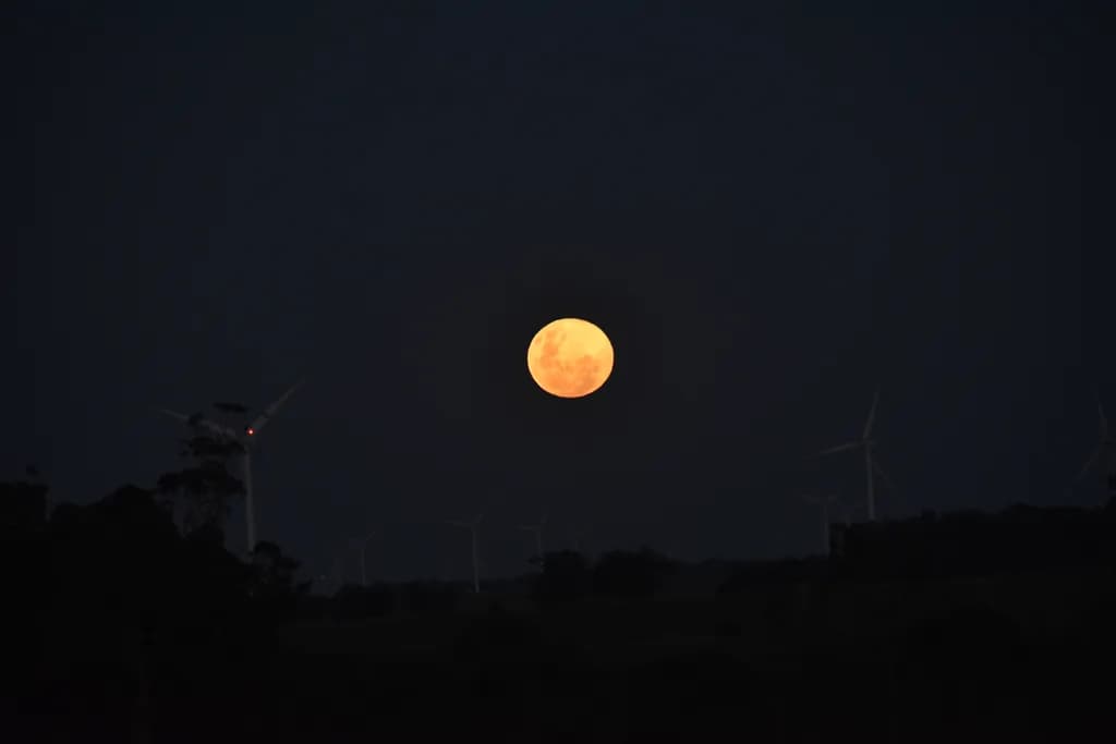 Moonlit Windmills