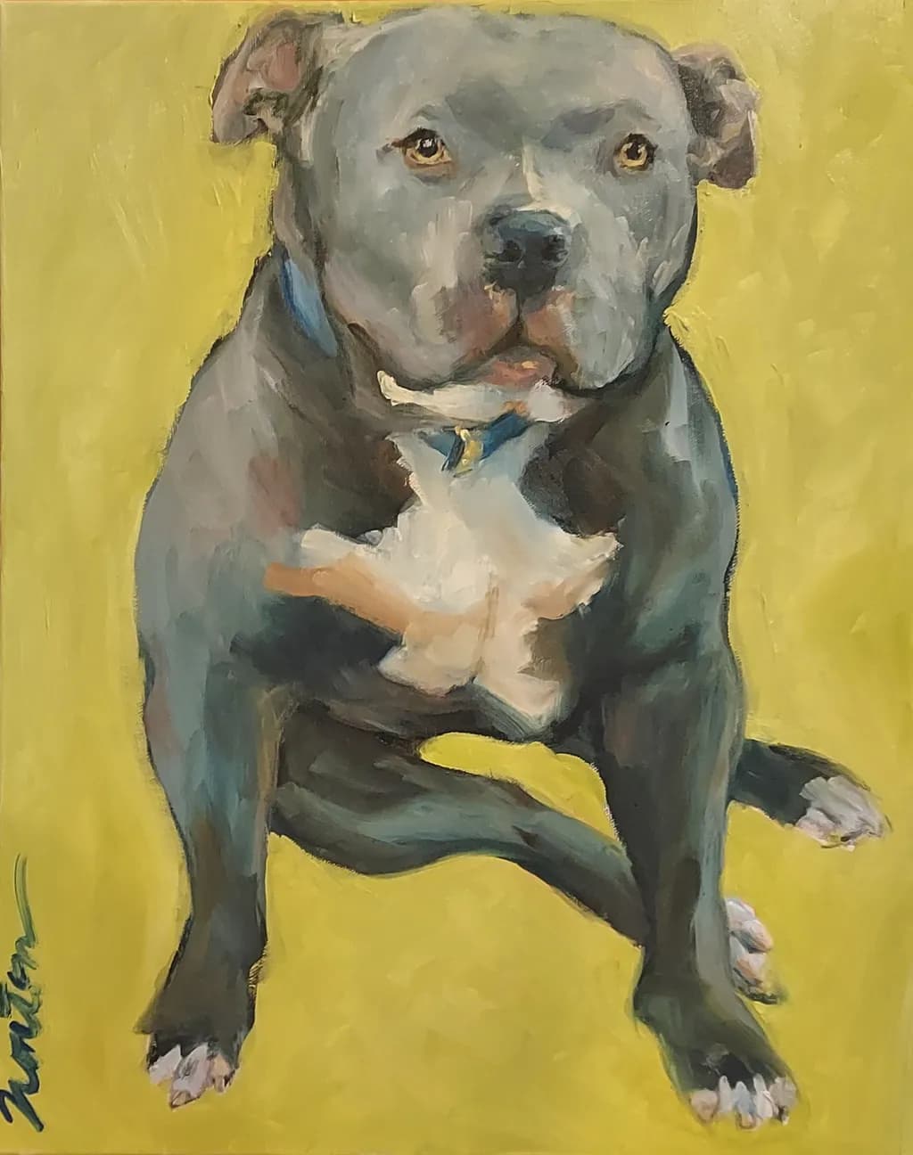 Confident Canine