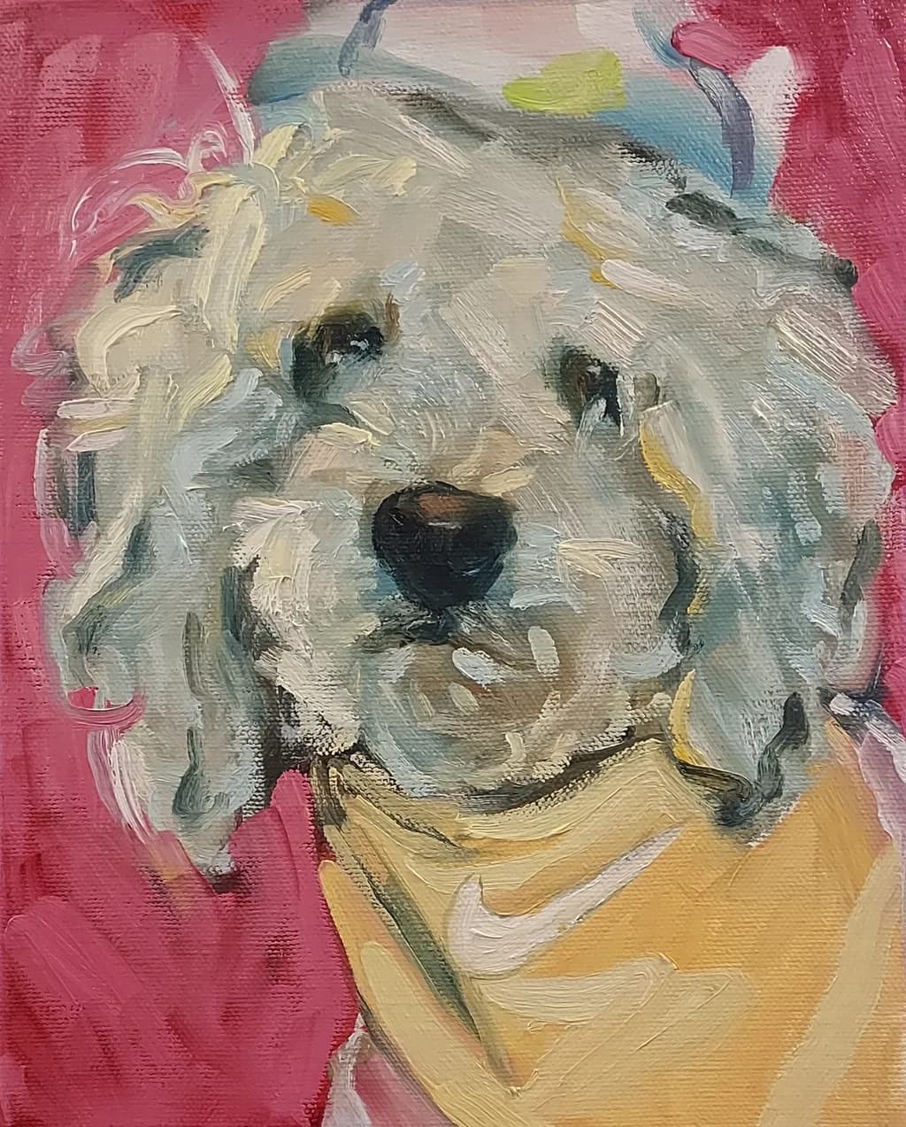 Playful Pup