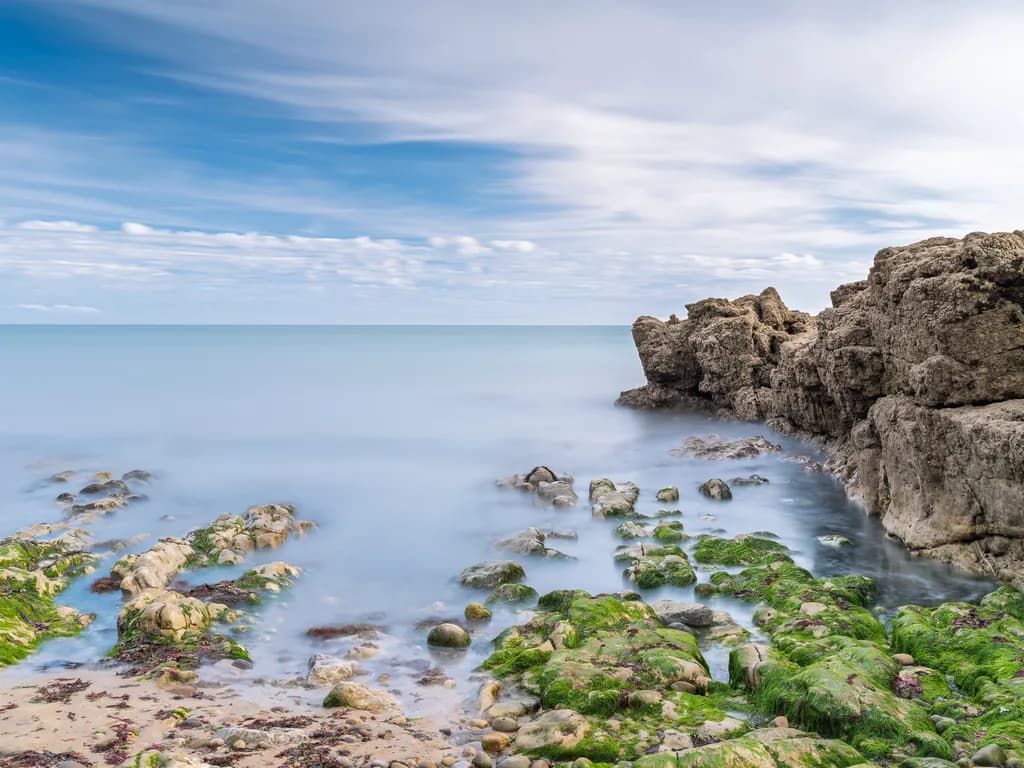 Algae Coast Calm