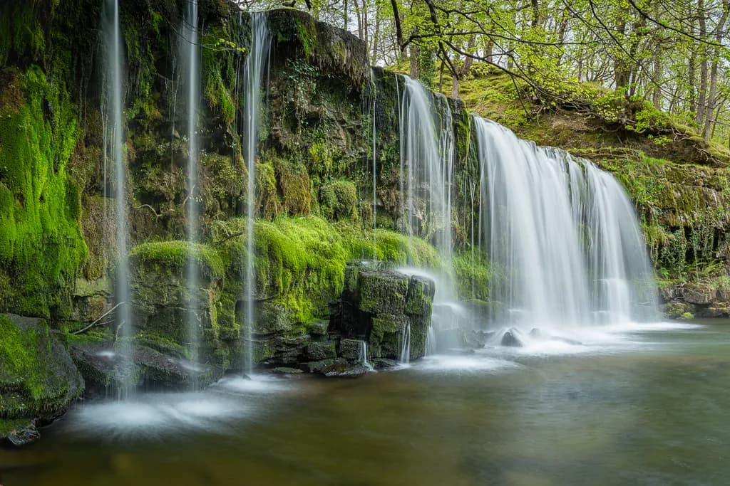 Moss Veil Cascade