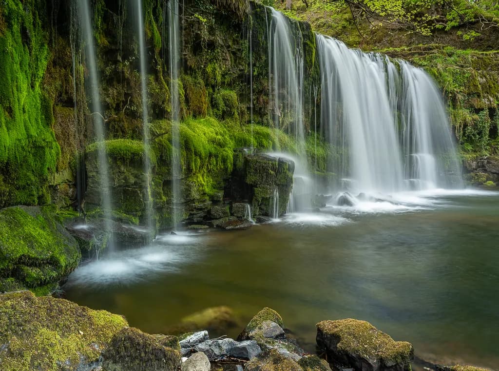 Moss Veil Cascade