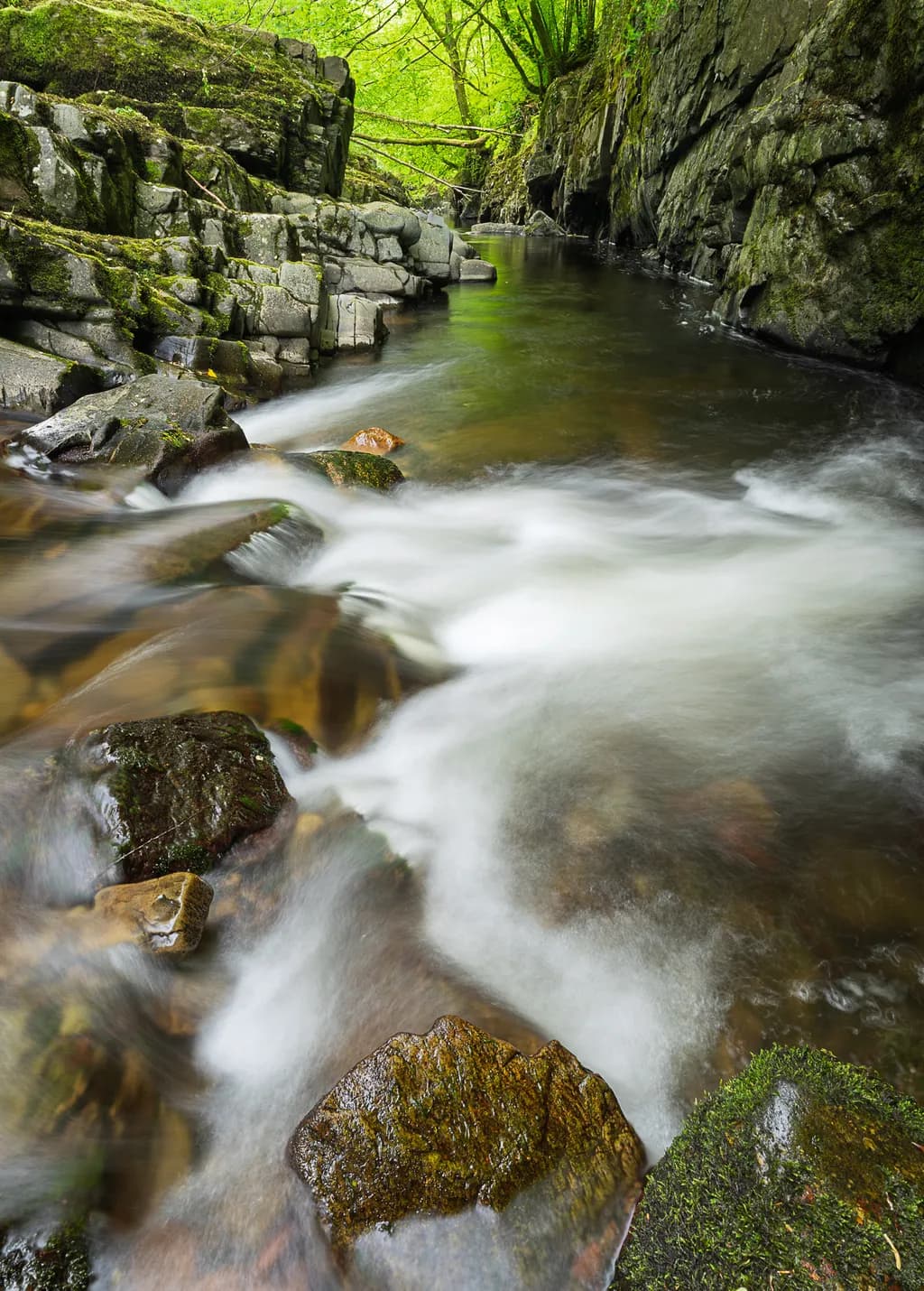 Mossbound Streamflow