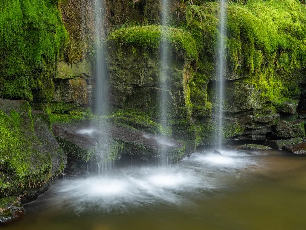 Moss Veil Falls