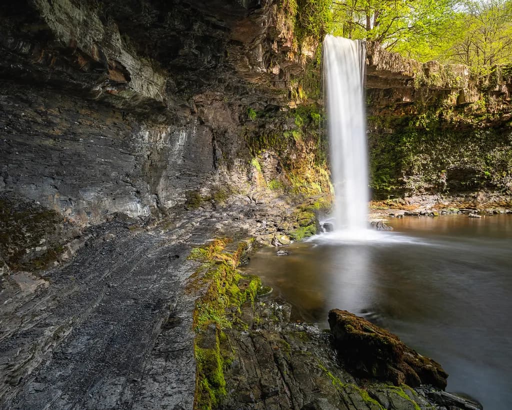 Mossfall Tranquility