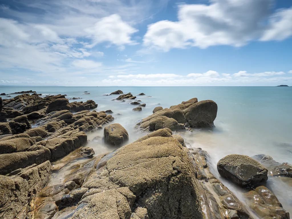 Mossbound Shoreline