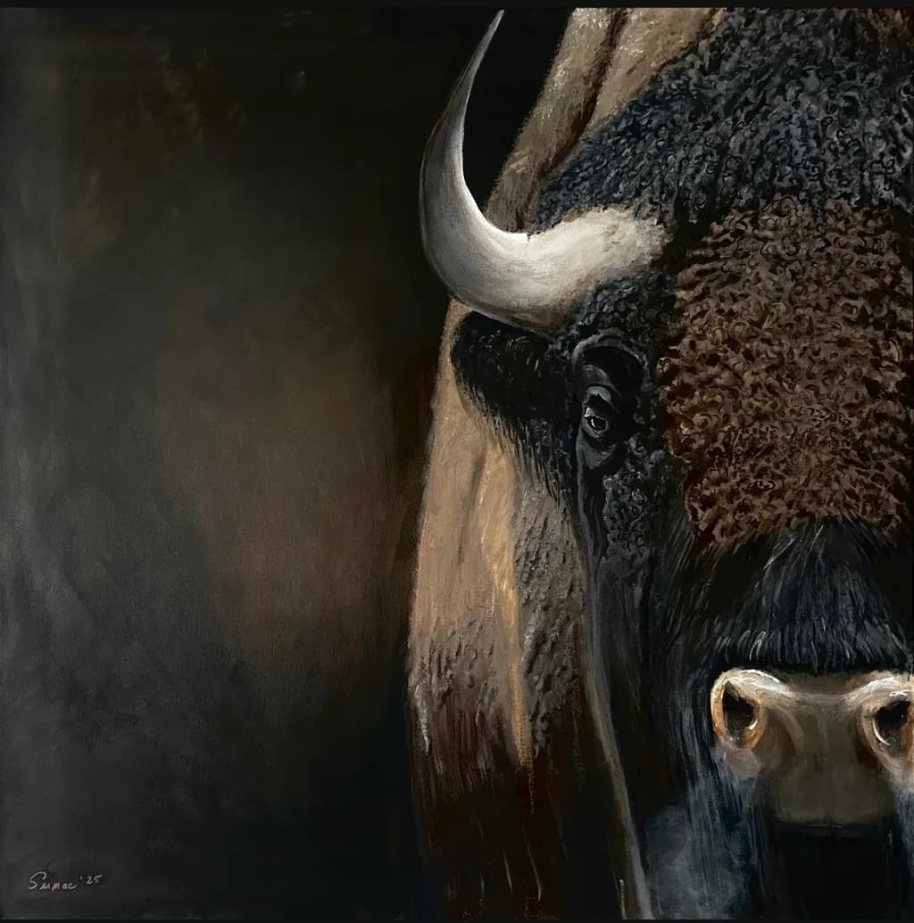Bison Close-Up Portrait
