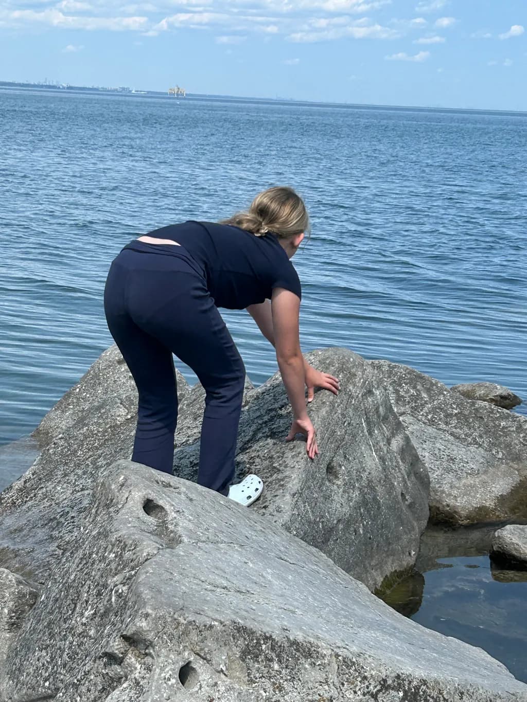Rocky Shore Exploration
