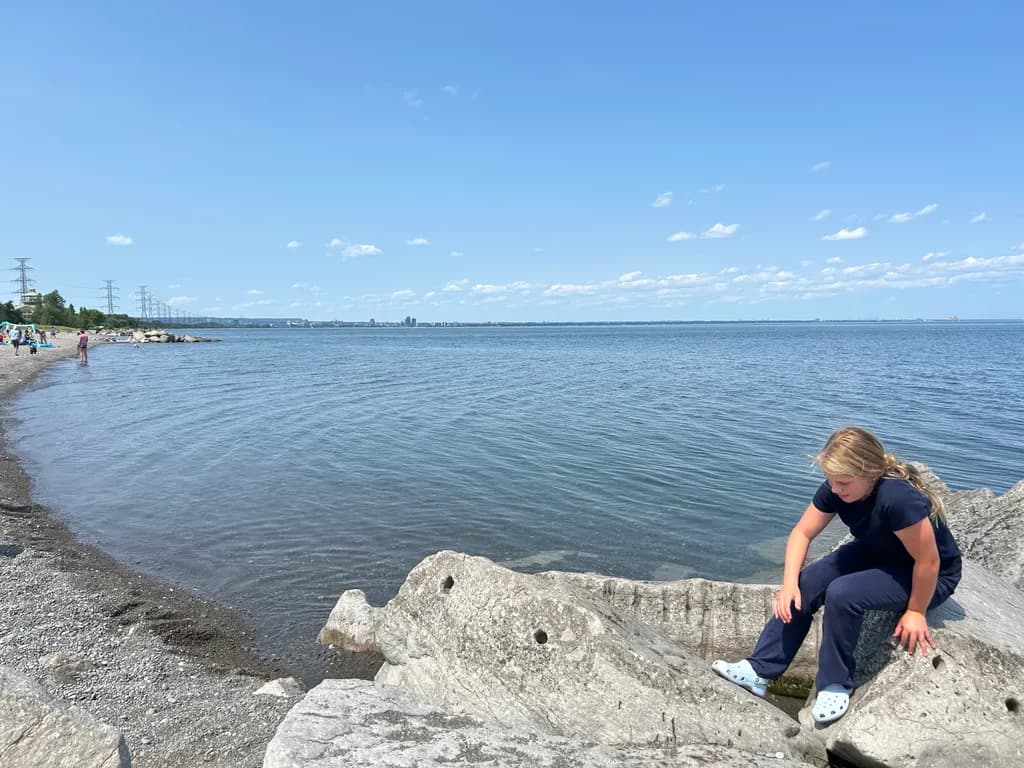 Coastal Rocks and Shoreline