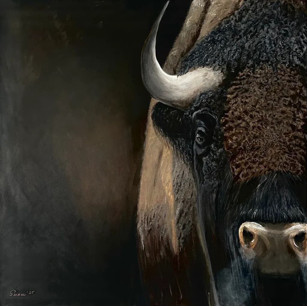 Majestic Bison