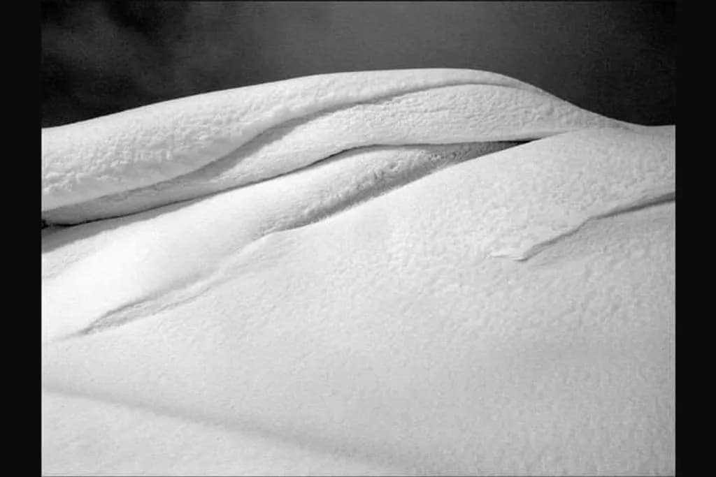 Snowy Serenity