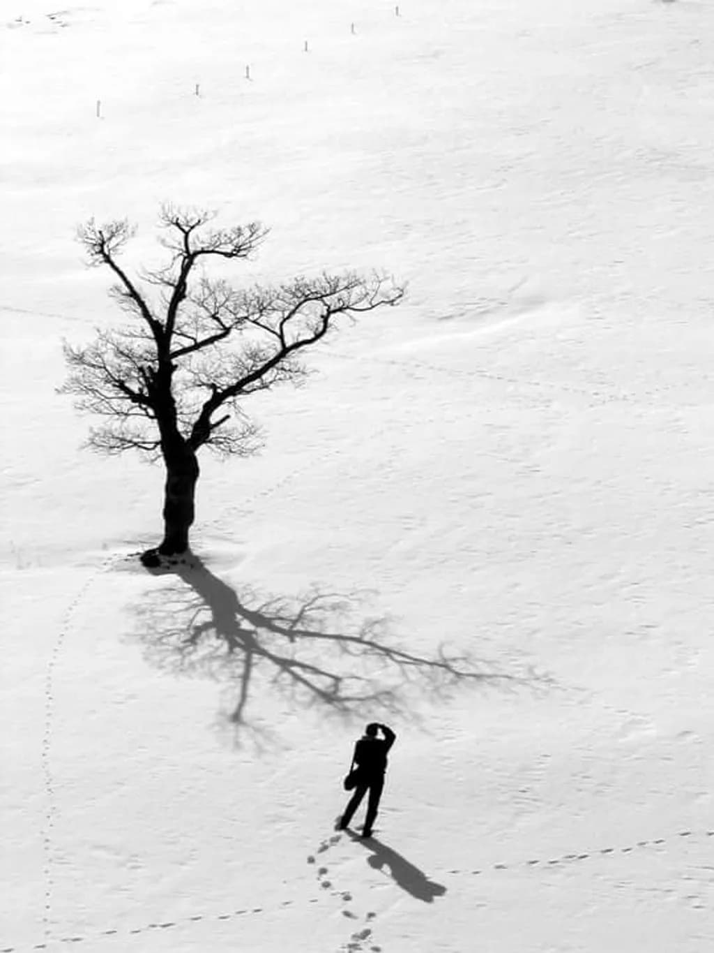 Silent Solitude