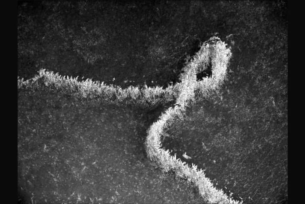 Curved Pathways