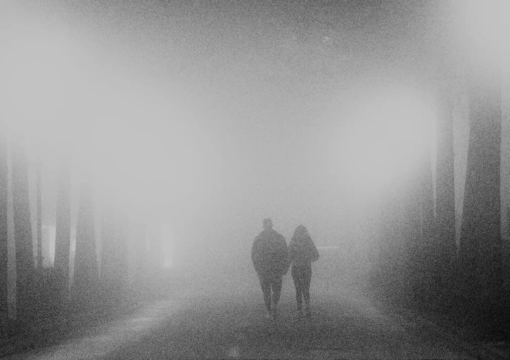 Foggy Embrace