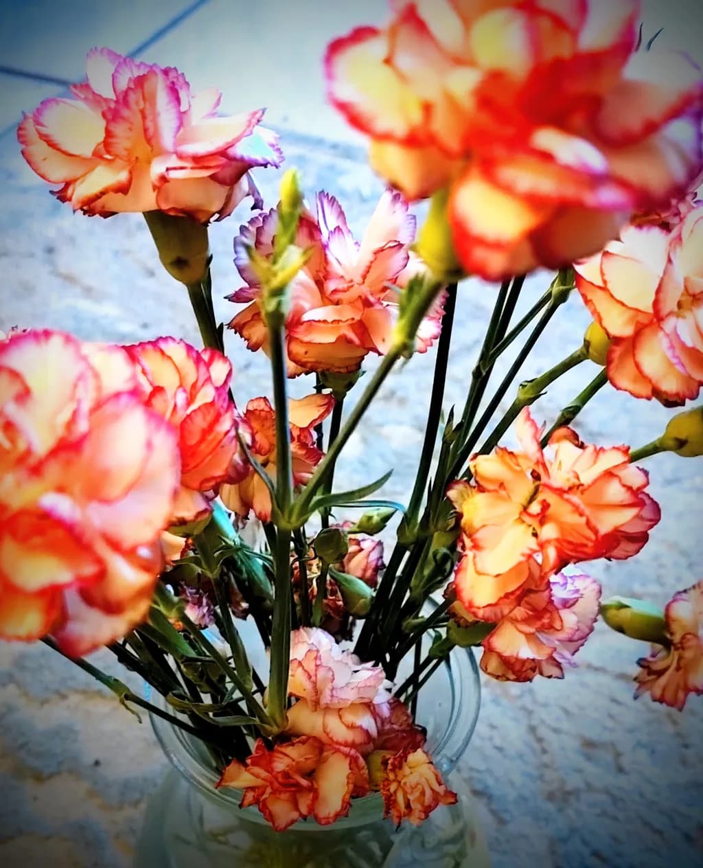 Carnation Bouquet