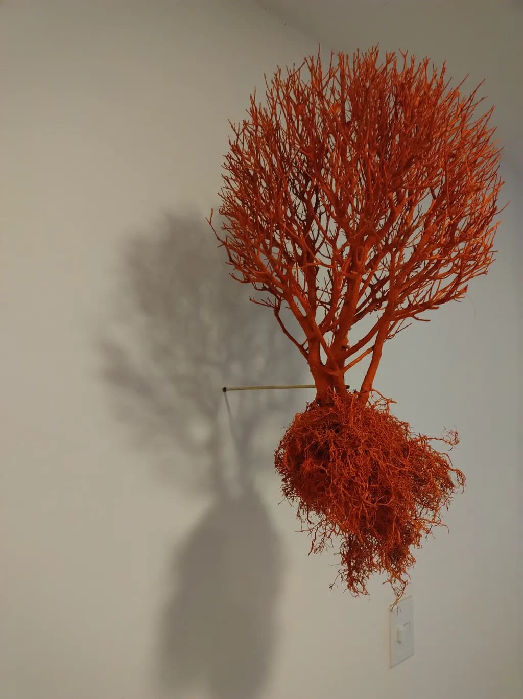 Tangled Flame Tree