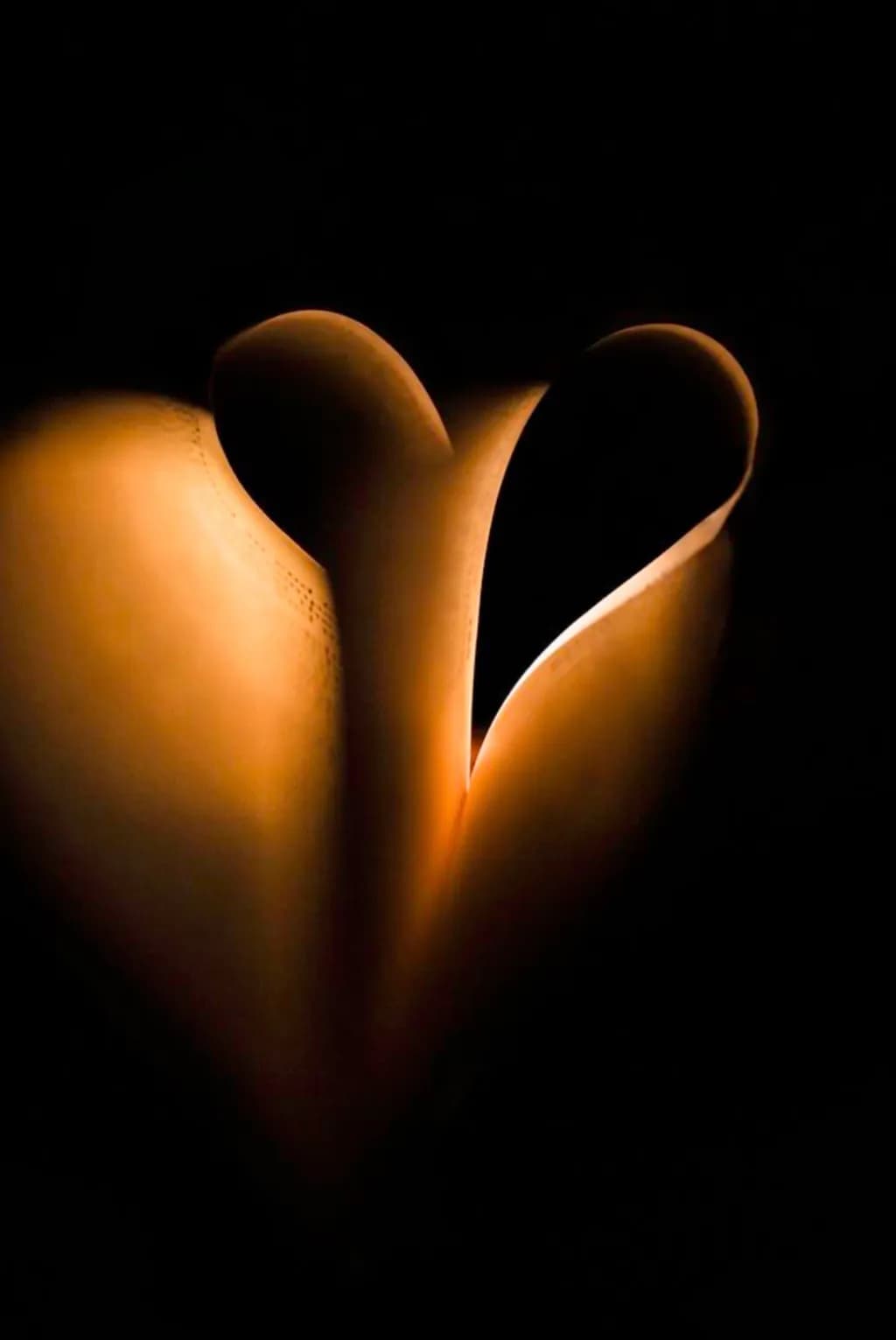 Heart of Light