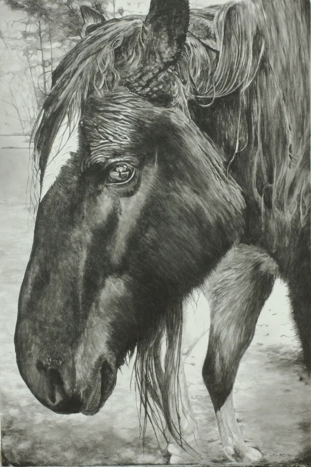 July (Percheron)