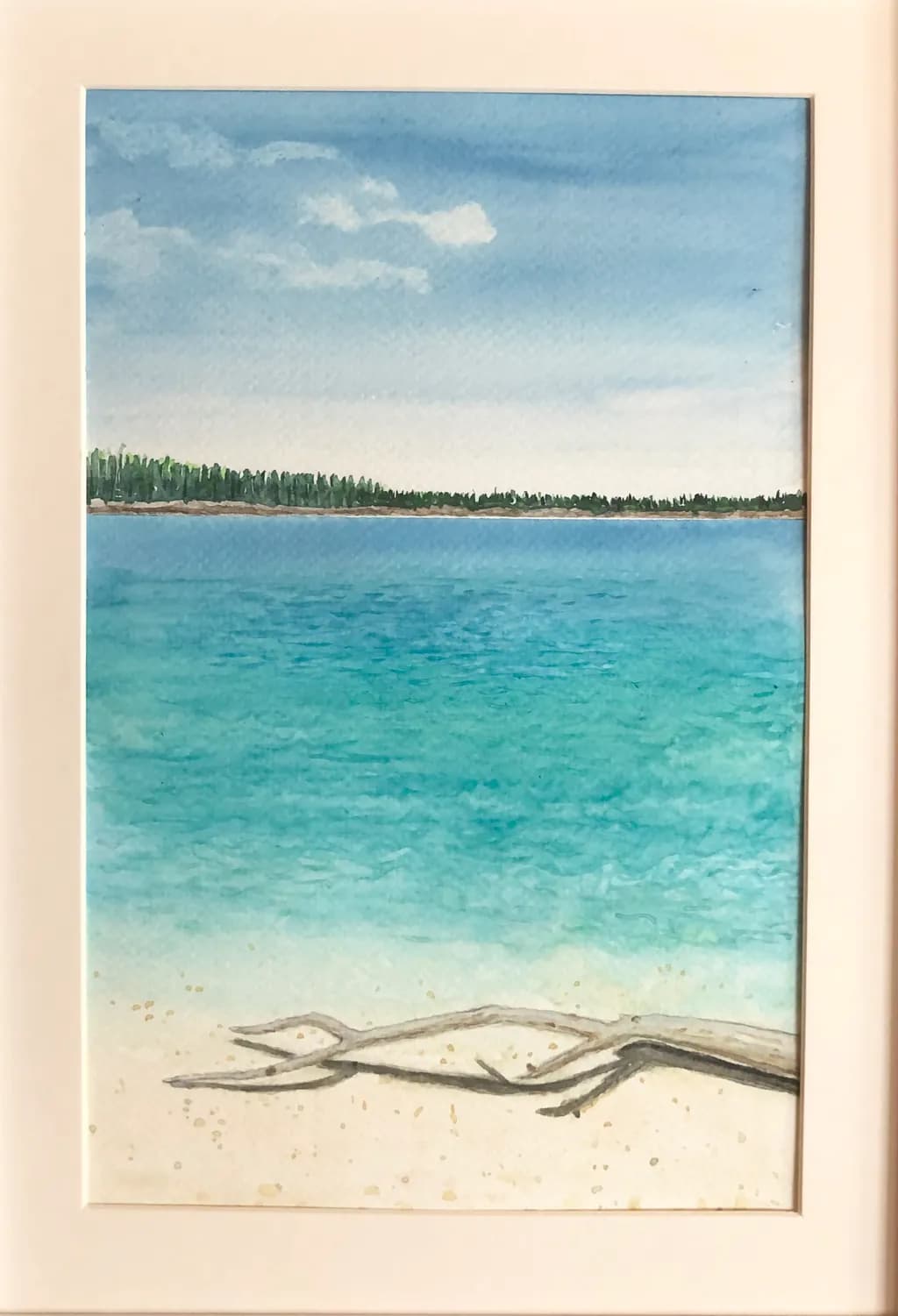 Driftwood Shoreline