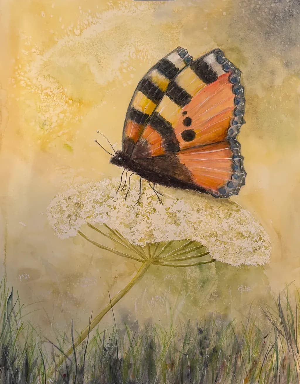 Golden Tailed Butterfly