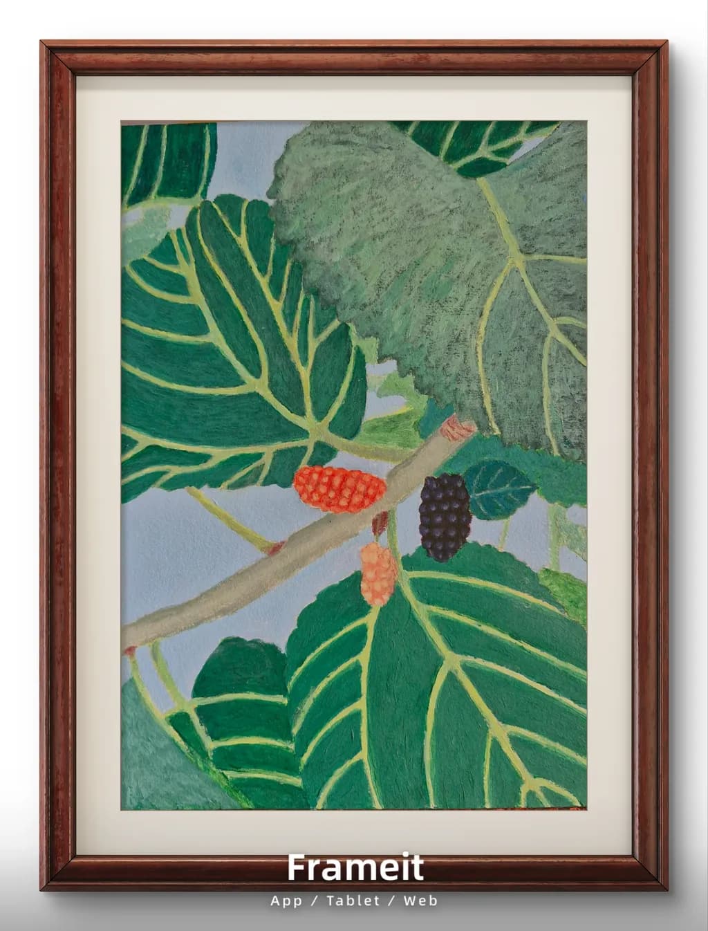 Tropical Harmony