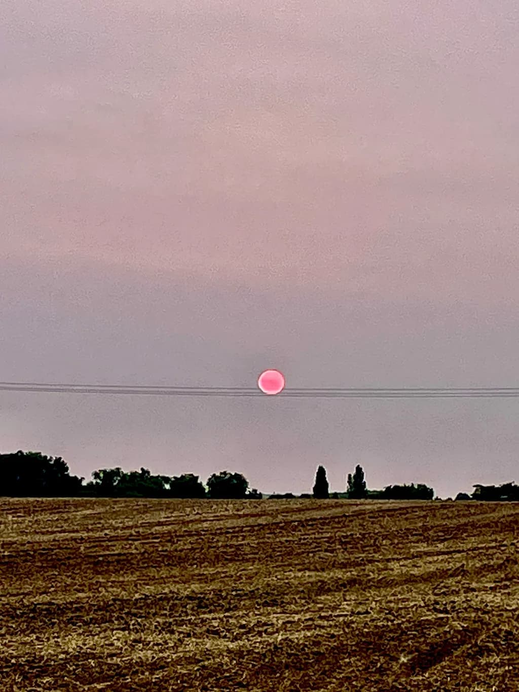 Pink Horizon